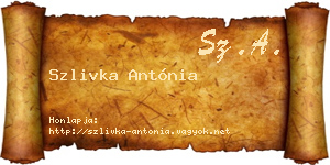 Szlivka Antónia névjegykártya